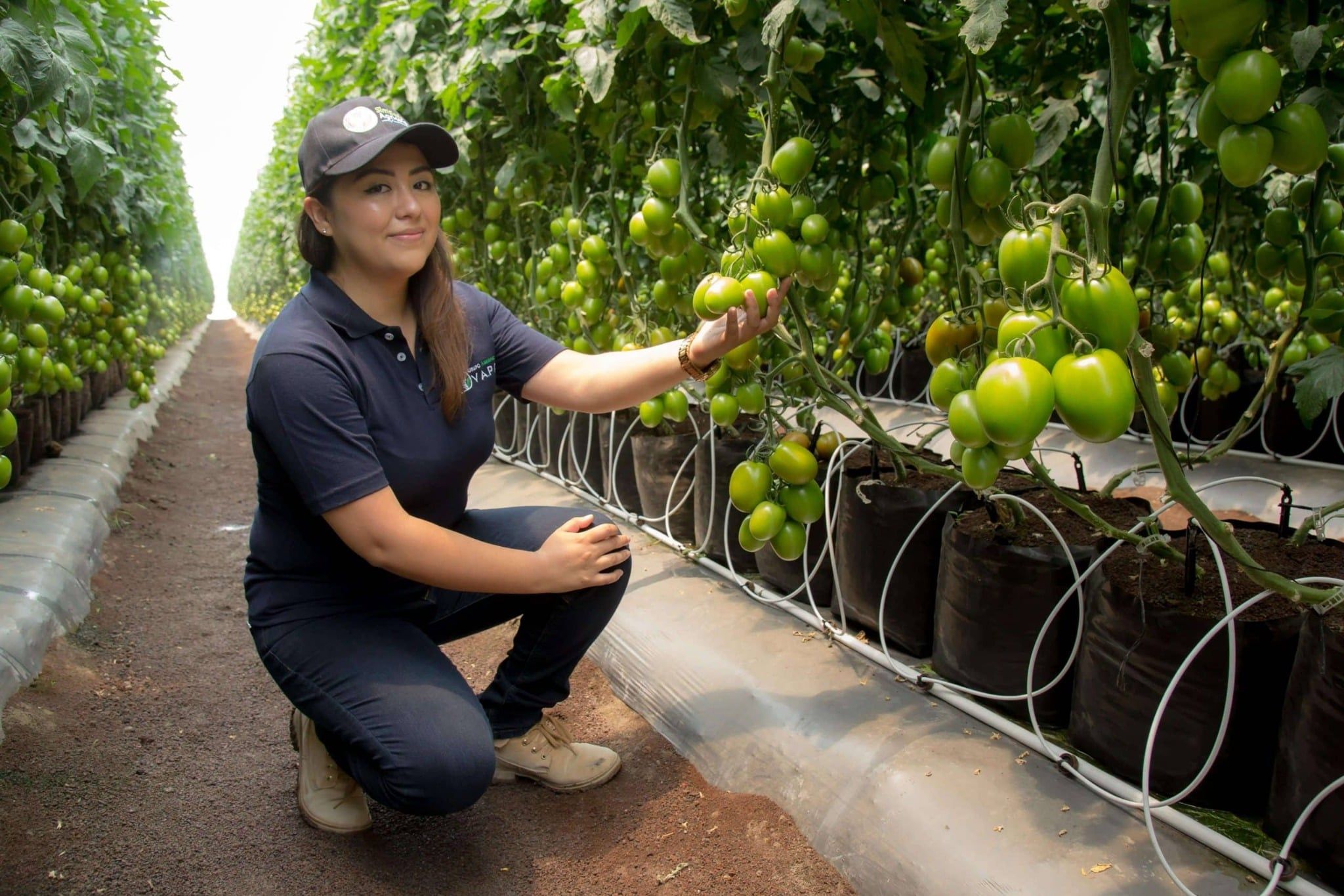  Đầu chia 2 cổng cho Supertiff 