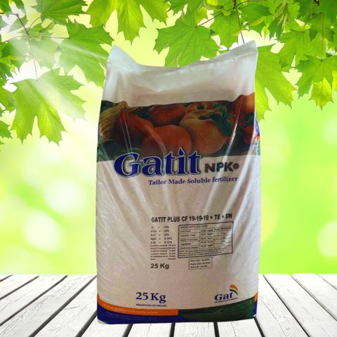Phân bón dạng hạt Gatit Plus CF 19-19-19 +TE +SW
