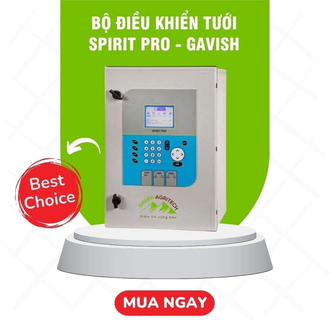  Spirit Pro - Gavish 