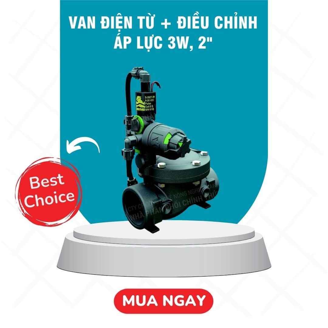  Van điện từ + điều chỉnh áp lực 3w, 2