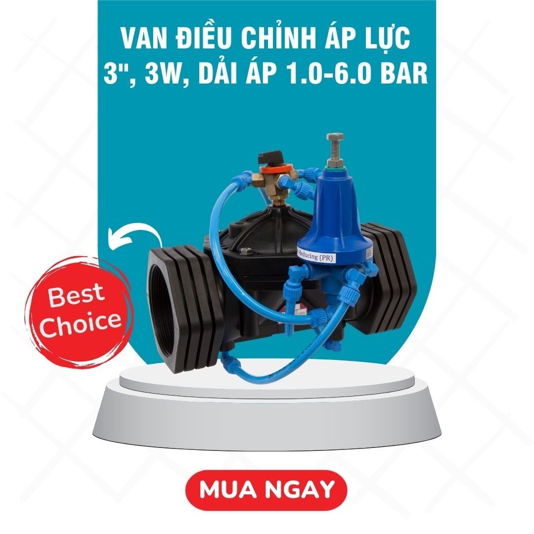  Van điều chỉnh áp lực 3'', 3w, dải áp 1.0-6.0 bar 