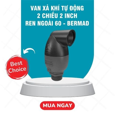  Van Xả Khí Tự Động 2 chiều 2 inch, ren ngoài 60 - Bermad 