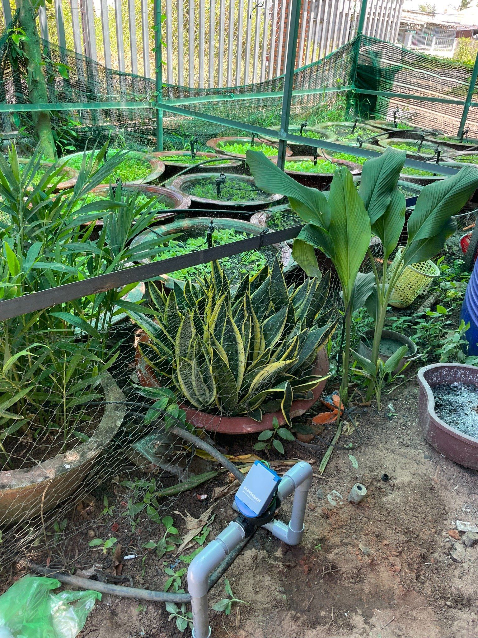  Bộ điều khiển hẹn giờ mở van điện từ G75C 