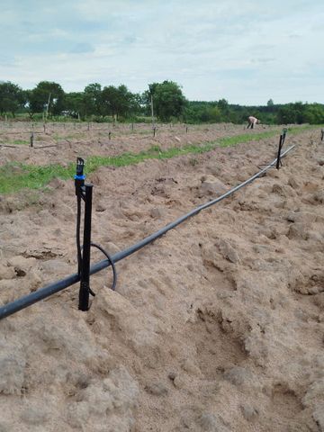  Béc Tưới Phun Mưa Bù Áp GAT 2016 