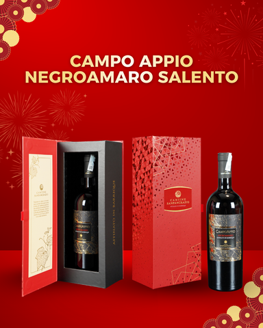  Rượu vang đỏ Ý Campo Appio Negroamaro Salento IGP 