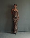 Sheer Leopard Dress