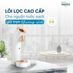 Máy lọc nước nóng lạnh cao cấp Wells The One