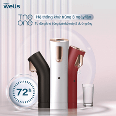 Máy lọc nước nóng lạnh cao cấp Wells The One
