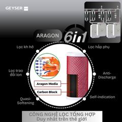 Lọc tổng đầu nguồn âm trần cho căn hộ chung cư Penthouse Geyser Ecotar 4F4Ss