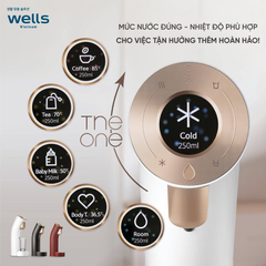Máy lọc nước nóng lạnh cao cấp Wells The One