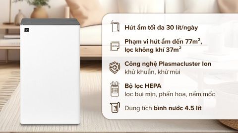 Máy hút ẩm Sharp DW-T30FV-W