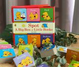  SPOT: A BIG BOX OF LITTLE BOOKS 