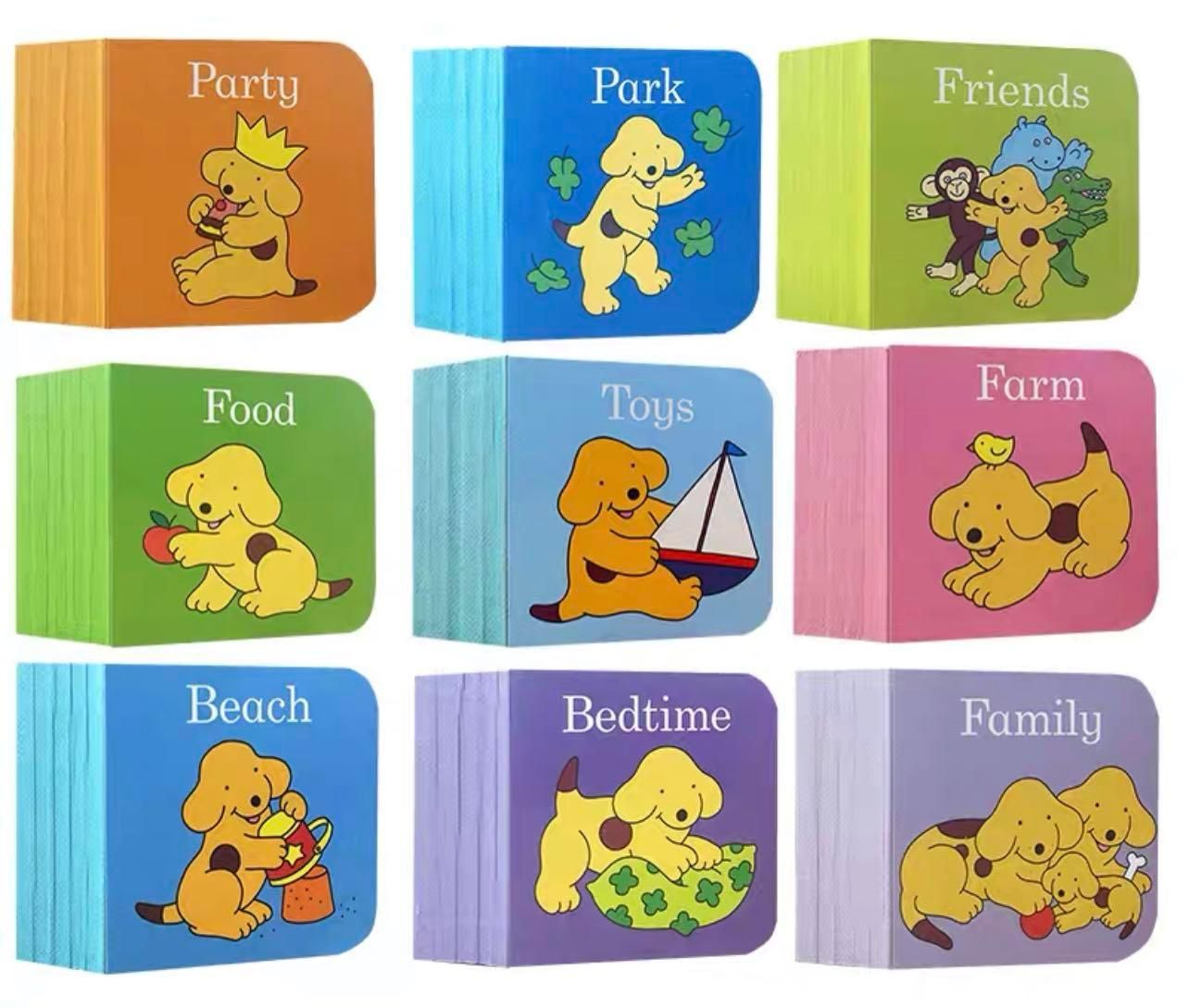  SPOT: A BIG BOX OF LITTLE BOOKS 