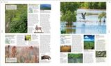  EARTH: THE DEFINITIVE VISUAL GUIDE (DK DEFINITIVE VISUAL ENCYCLOPEDIAS) 