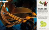  AMAZING OCEANS 
