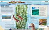  AMAZING OCEANS 