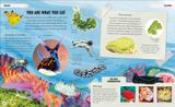 AMAZING OCEANS 