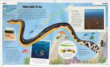  AMAZING OCEANS 