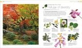  PLANTS AND FUNGI: THE DEFINITIVE VISUAL GUIDE 