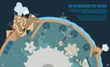  HOW THE EARTH WORKS 