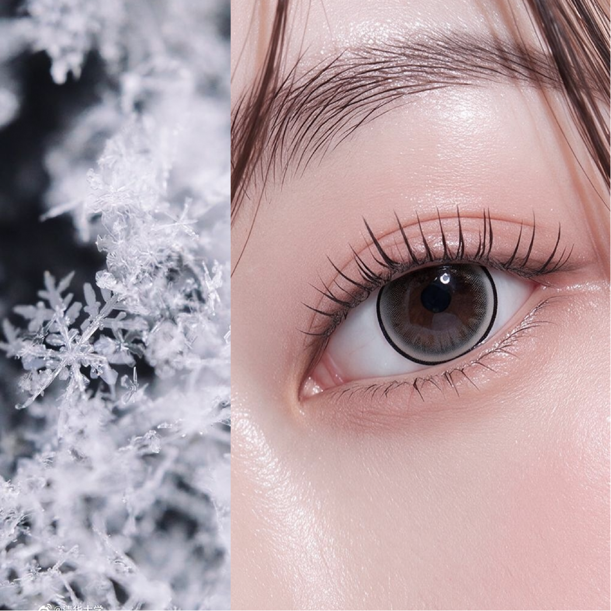  Xám băng tuyết FOXIE - Luxury beauty lens DOLL EYES 