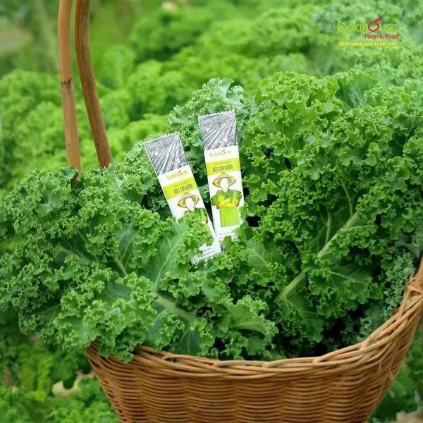 Bột Cải Xoăn (Kale) Dalahouse - Bột Rau Củ Hữu Cơ Nguyên Chất Sấy Lạnh (BRC)