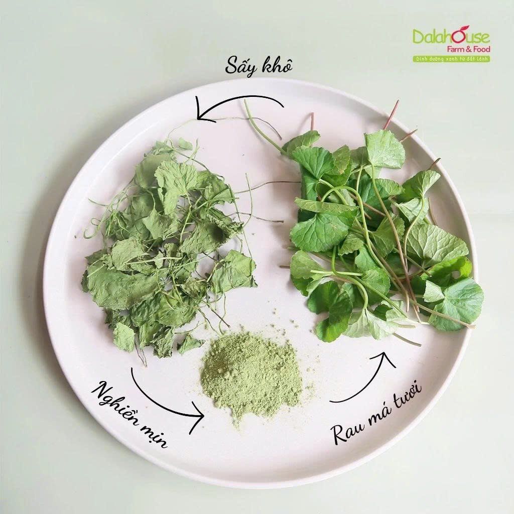 Bột Rau Má Dalahouse - Bột Rau Củ Hữu Cơ Nguyên Chất Sấy Lạnh (BRC)