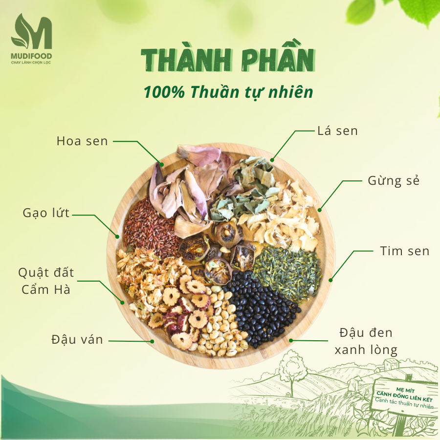 Thọ Mộc Trà Mẹ Mít Hộp 300g - Thanh Nhiệt, Mát Gan, Cải Thiện Giấc Ngủ, Tốt Cho Tim Mạch, Giảm Cân, Eatclean, Healthy, An Yên Sống Khoẻ (Trà)