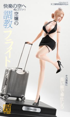  Flight Attendant - TGZW Studio 