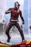  Ant-Man - Marvel - Hot Toys 