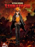  Tsunayoshi Sawada - Hitman Reborn - Ring Inscription Studio 