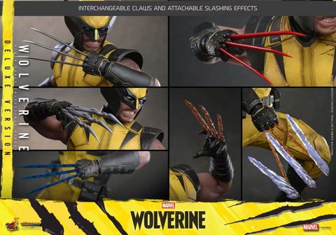 Marvel Wolverine – Wolverine - Hot Toys 