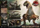  Velociraptor - The Lost World: Jurassic Park - Prime 1 Studio (LMCJWF-03) 