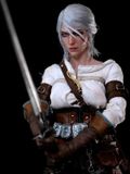  Ciri of the Cintra - The Witcher 3: The Wild Hunt - PureArts Studio 
