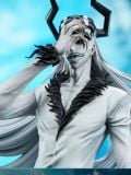  Kurosaki Ichigo - Bleach - Hang Studio 