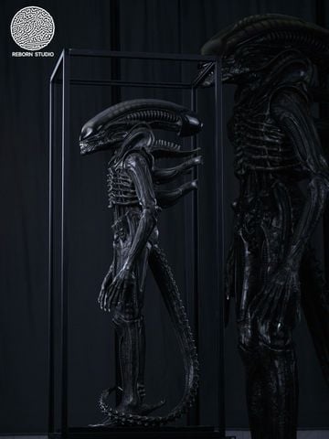  Scorched Xenomorph - Alien: Romulus - Reborn Studio 