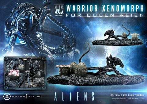  Warrior Xenomorph - Aliens - Prime 1 Studio 
