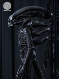  Scorched Xenomorph - Alien: Romulus - Reborn Studio 