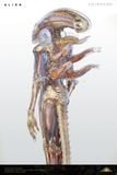  INNER LIFE Alien - Deep Tale Studio 
