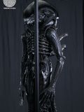  Scorched Xenomorph - Alien: Romulus - Reborn Studio 