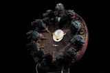  Godzilla Generations Clock - Godzilla - Hard Shell Studio 