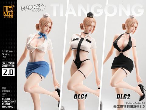  Flight Attendant - TGZW Studio 