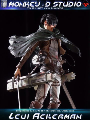  Levi Ackerman - Attack On Titan - Monkey D Studio 