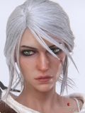  Ciri of the Cintra - The Witcher 3: The Wild Hunt - PureArts Studio 