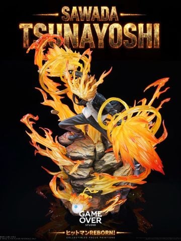  Sawada Tsunayoshi - Katekyo Hitman Reborn! - Game Over Studio 