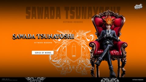  Tsunayoshi Sawada - Katekyo Hitman Reborn! - Peak Studio 