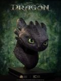  Toothless Life Size Bust - How to Train Your Dragon - Elite Creature Collectibles 