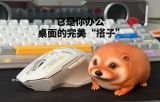  What the Dog Doing - Nan Bei lv Dou Studio 