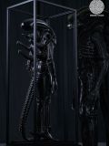  Scorched Xenomorph - Alien: Romulus - Reborn Studio 