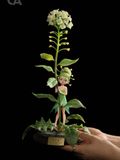  Shephred’s Purse flower Fairy - Berserk - Orange Art Studio 